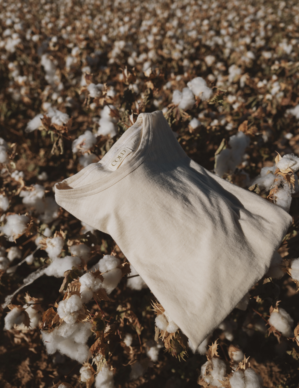 Composting Your Clothes (Yes, Really)